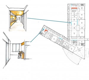 Small learning niches in corridors